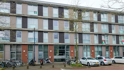 Apartment for rent in Amsterdam