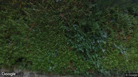 Apartments for rent in Riviera-Pays-d'Enhaut - Photo from Google Street View