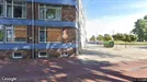 Apartment for rent, Velsen, North Holland, Willebrordstraat