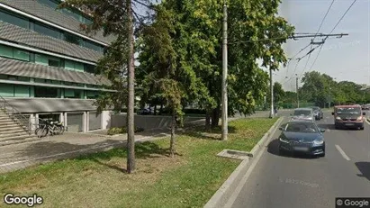 Apartments for rent in Timişoara - Photo from Google Street View Apartments for rent in Timişoara - Photo from Google Street View