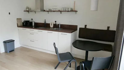 Apartment for rent in Delft, South Holland