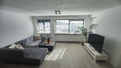 Room for rent in Rotterdam