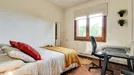 Room for rent, Cerdanyola del Vallès, Cataluña, Carrer dOctavi Bruix