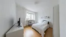 Room for rent, Frankfurt (region), Robert-Mayer-Straße