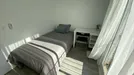 Room for rent, Adaro, Comunidad de Madrid, Calle de Concepción de la Oliva