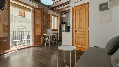 Apartment for rent in Barcelona Ciutat Vella, Barcelona