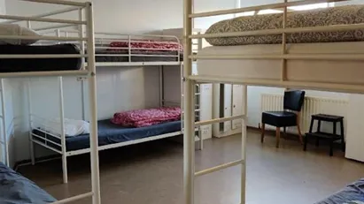 Room for rent in Reykjavík Hlíðar, Reykjavík