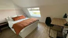 Room for rent, Lille, Hauts-de-France, Rue Solférino