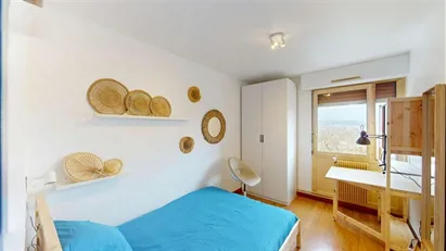 Room for rent in Annecy, Auvergne-Rhône-Alpes