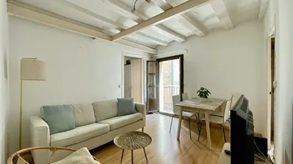 Apartment for rent in Barcelona Ciutat Vella, Barcelona