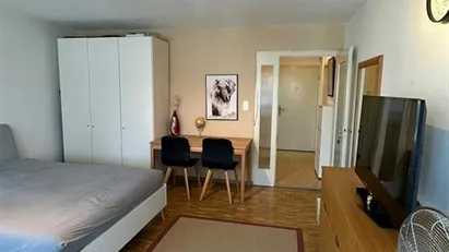 Apartment for rent in Uster, Zürich (Kantone)