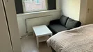 Room for rent, Rotterdam Delfshaven, Rotterdam, Grote Visserijstraat