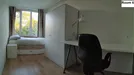 Room for rent, Rotterdam, Paardebloem