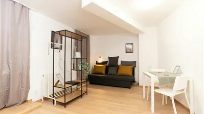 Apartment for rent in Budapest Erzsébetváros, Budapest