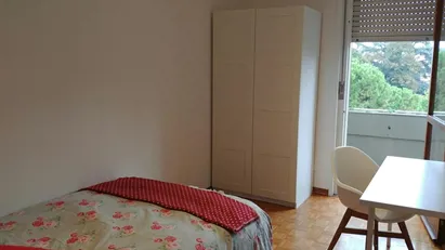 Room for rent in Padua, Veneto