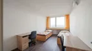 Room for rent, Prague, &lt;span class=&quot;blurred street&quot; onclick=&quot;ProcessAdRequest(9117271)&quot;&gt;&lt;span class=&quot;hint&quot;&gt;See streetname&lt;/span&gt;[xxxxxxxxxxxxx]&lt;/span&gt;