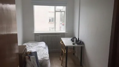 Room for rent in Reykjavík Hlíðar, Reykjavík