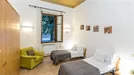 Apartment for rent, Florence, Toscana, Viale Fratelli Rosselli