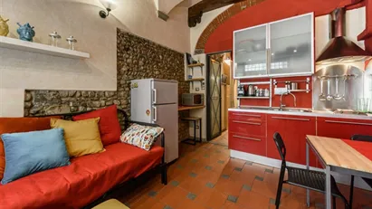 Apartment for rent in Florence, Toscana