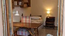 Room for rent, Florence, Toscana, Via Cesare Guasti