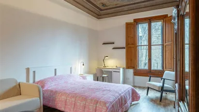 Room for rent in Florence, Toscana