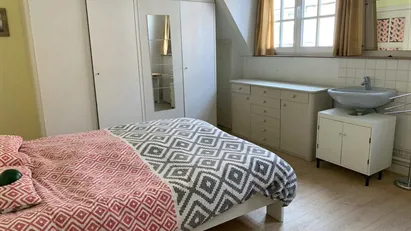 Room for rent in Brussels Etterbeek, Brussels