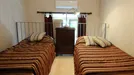 Room for rent, Florence, Toscana, Lungarno Amerigo Vespucci