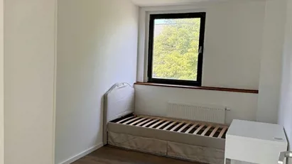 Room for rent in Cologne Rodenkirchen, Cologne (region)