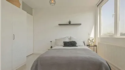 Apartment for rent in Rotterdam