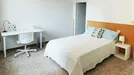 Room for rent, Bologna, Emilia-Romagna, Via Irnerio, Italy