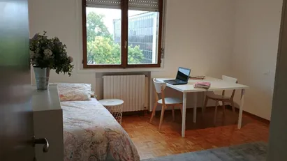 Room for rent in Padua, Veneto