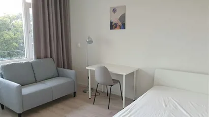 Room for rent in Rotterdam