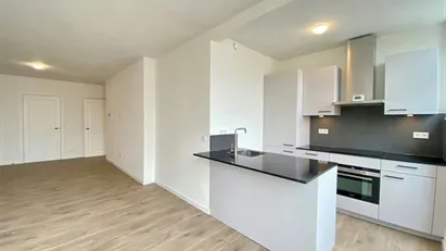 Apartment for rent in Rotterdam