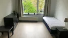 Room for rent, Rotterdam, Johan de Meesterstraat