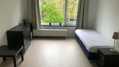 Room for rent in Rotterdam