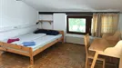 Room for rent, Besnica, Osrednjeslovenska, Cesta na Brdo