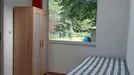 Room for rent, Linkebeek, Vlaams-Brabant, Beukenstraat