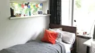 Room for rent, Leiden, South Holland, Joseph Haydnlaan