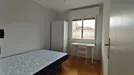 Room for rent, Oviedo, Principado de Asturias, Matilde García del Real