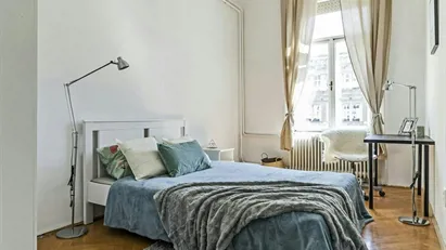 Room for rent in Budapest Terézváros, Budapest