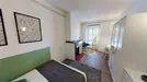 Room for rent, Toulouse, Occitanie, Boulevard dArcole