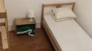 Room for rent, Lisbon (region), Calçada das Necessidades