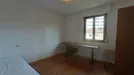 Room for rent, Pamplona/Iruña, Comunidad Foral de Navarra, Avenida de la Baja Navarra