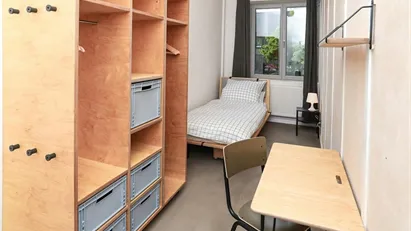 Room for rent in Berlin Mitte, Berlin