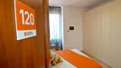 Room for rent, Modena, Emilia-Romagna, Viale Alfeo Corassori