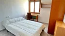 Room for rent, Alicante/Alacant, Comunidad Valenciana, Avenida Alcalde Lorenzo Carbonell, Spain