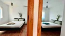 Room for rent, El Puerto de Santa María, Andalucía, Camino