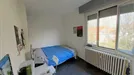 Room for rent, Milano Zona 8 - Fiera, Gallaratese, Quarto Oggiaro, Milan, Via Jacopino da Tradate