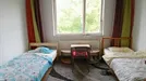 Room for rent, Berlin Steglitz-Zehlendorf, Berlin, Paul-Schneider-Straße