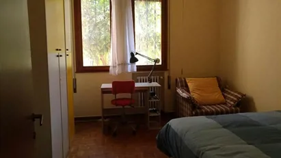 Room for rent in Padua, Veneto